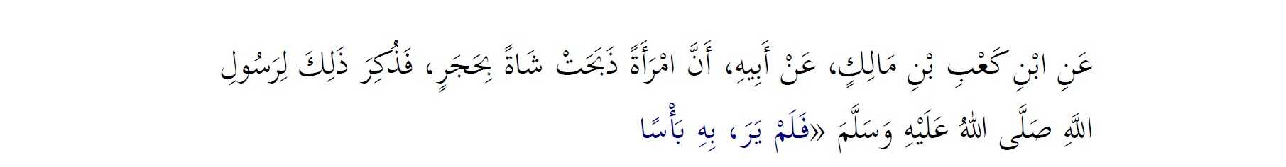 Kurban İbadeti Hakkında Bir Kaç Soru Ve Cevabı 