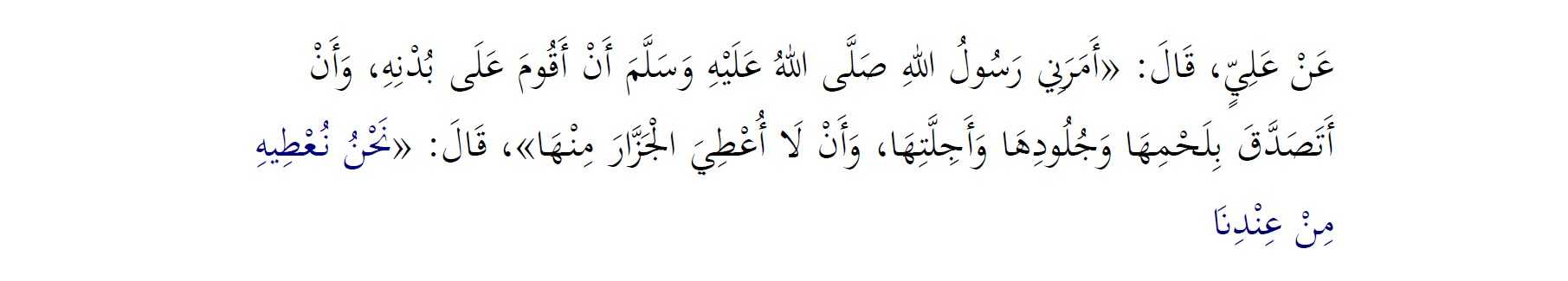 Kurban İbadeti Hakkında Bir Kaç Soru Ve Cevabı 